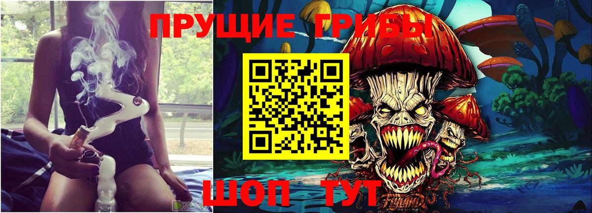 Алатырь  Псилоцибиновые грибы прущие грибы  Вход с VPN 